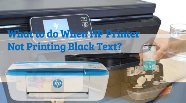 What to do if hp printer is not printing black text